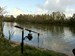 Carp Fishing